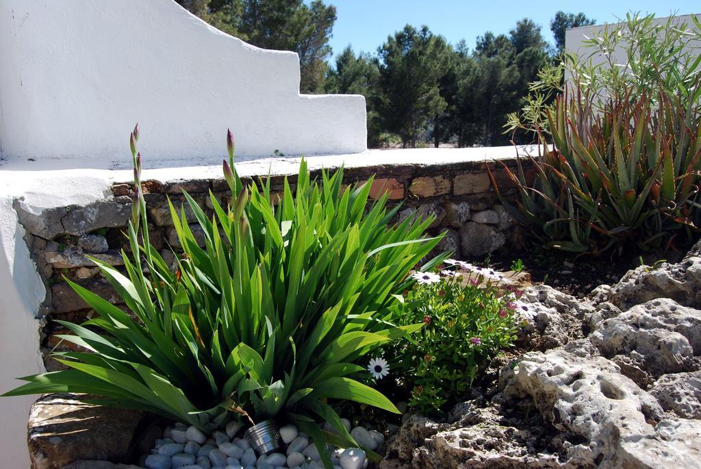 Villa La Roca - A Fusion Of Modern And Typical Andalucian Architecture 몬테코르토 외부 사진