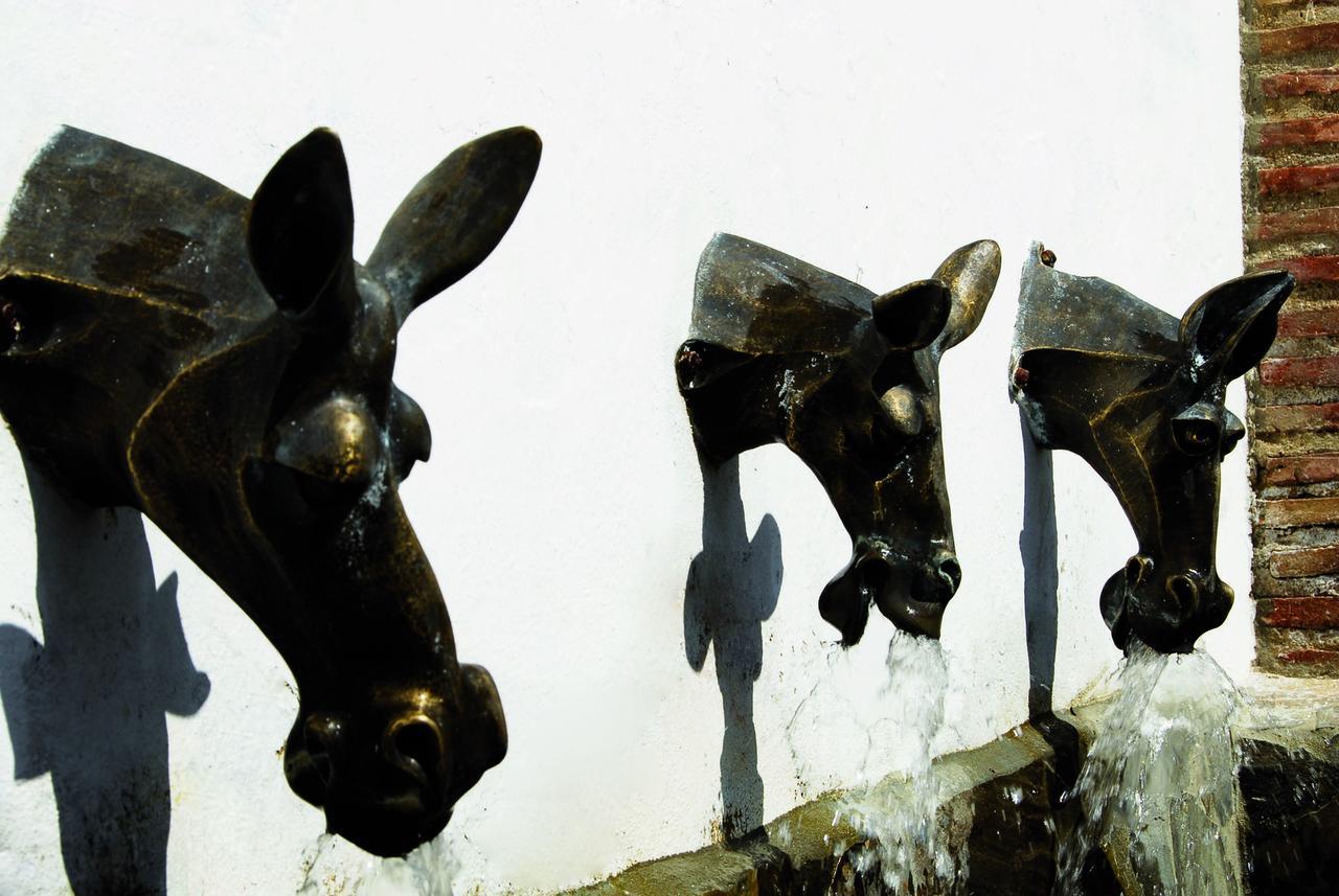 Villa La Roca - A Fusion Of Modern And Typical Andalucian Architecture 몬테코르토 외부 사진